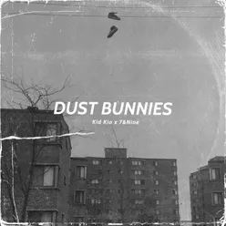 Dust Bunnies