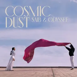 Cosmic Dust