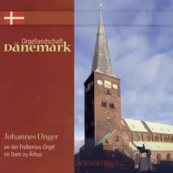 Orgellandschaft Dänemark Johannes Unger an der Frobenius-Orgel im Dom zu Århus