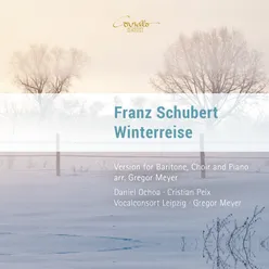 Die Winterreise, Op. 89: Der stürmische Morgen Arr. for Baritone, Choir and Piano
