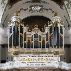 Orgel-Concert in F Major: I. Allegro moderato