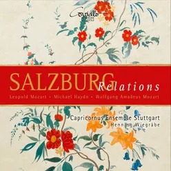 Salzburg Relation