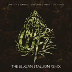 Gras in der Luft The Belgian Stallion Remix
