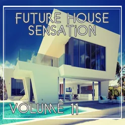 Future House Sensation, Vol.11