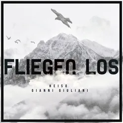 Fliegen los