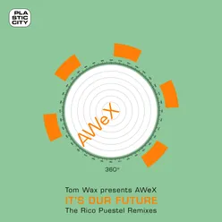 It's Our Future - The Rico Puestel Remixes