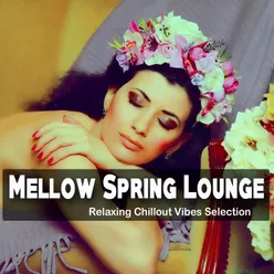Mellow Spring Lounge