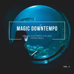 Magic Downtempo, Vol.2