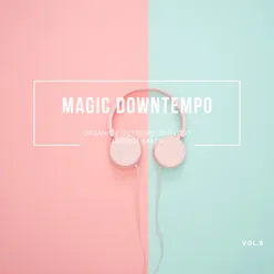 Magic Downtempo, Vol.8