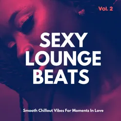 Sexy Lounge Beats, Vol.2