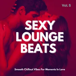 Sexy Lounge Beats, Vol.5