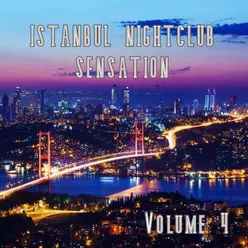 Istanbul Nightclub Sensation, Vol.4