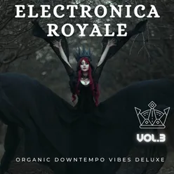 Electronica Royale, Vol.3
