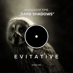 Dark Shadows Radio Edit
