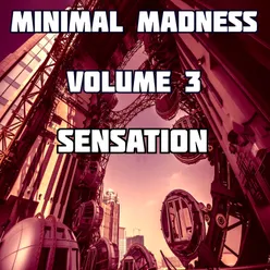 Minimal Madness Sensation, Vol.3