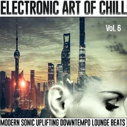 Electronic Art Of Chill, Vol.6