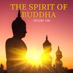 The Spirit Of Buddha Heart Chakra Radio Mix
