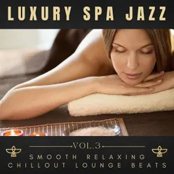 Luxury Spa Jazz, Vol.3