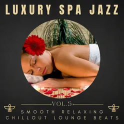 Luxury Spa Jazz, Vol.5