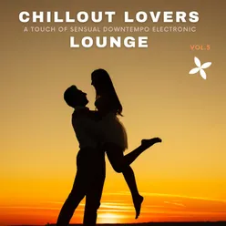 Chillout Lovers Lounge, Vol.5