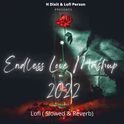 Endless Love Mashup 2022 Lofi (Slowed & Reverb)