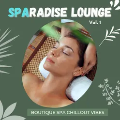 Sparadise Lounge, Vol.1