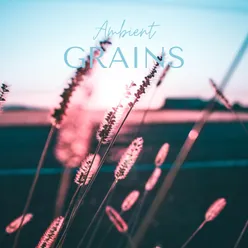 Ambient Grains