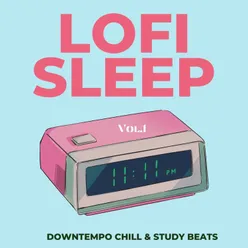 Lofi Sleep, Vol.1