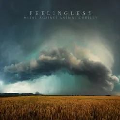 Feelingless