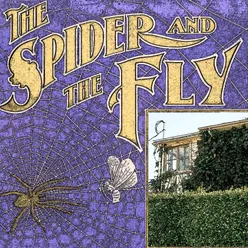 The Spider and the Fly