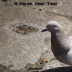 A Three Hour Tour