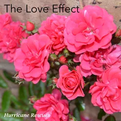 The Love Effect