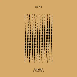 Shame (Remixes)