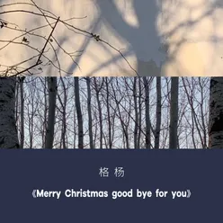 Merry Christmas Good Bye For You