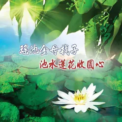 池水蓮花收圓心 男生獨唱版