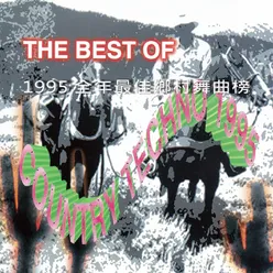 The Best of Counter Techno 1995 全年最佳鄉村舞曲榜