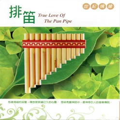 排笛 世紀情緣 True Love Of The Pan Pipe