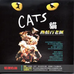 The Mystery Cat神秘貓（演奏版） 『貓』經典百老匯名作