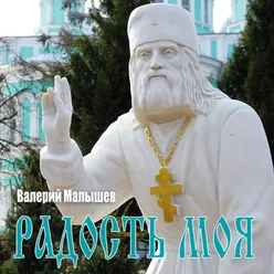 Радость моя