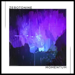 Momentum