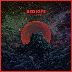 Red Kite Flight