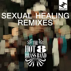 Sexual Healing Remixes