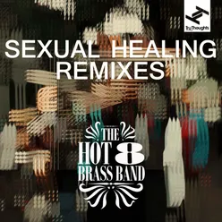 Sexual Healing J-Felix Remix
