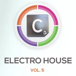 Electro House, Vol. 5