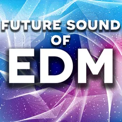 Future Sound of EDM DJ Mix 2