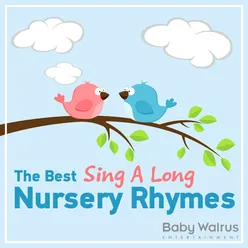 The Best Sing A Long Nursery Rhymes