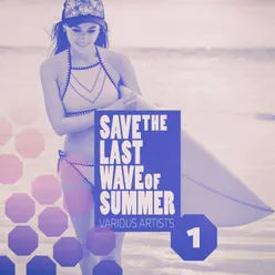 Save the Last Wave of Summer, Vol. 1 Deep & House Grooves