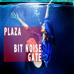 Bit Noise Gate