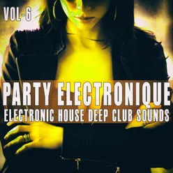 Party Electronique! -, Vol. 6