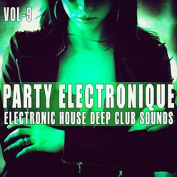 Party Electronique! -, Vol. 9